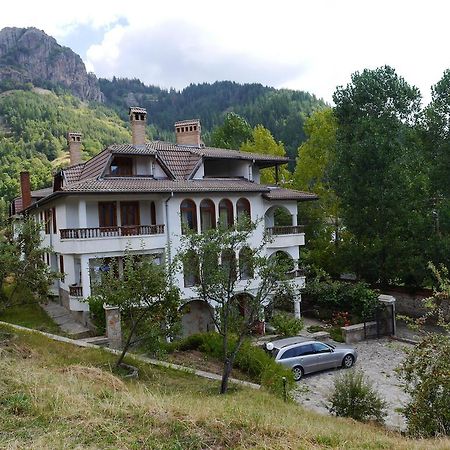 Family Hotel Silver Paşmaklı Dış mekan fotoğraf