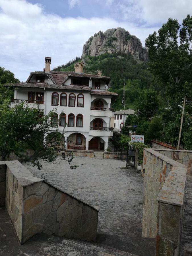Family Hotel Silver Paşmaklı Dış mekan fotoğraf